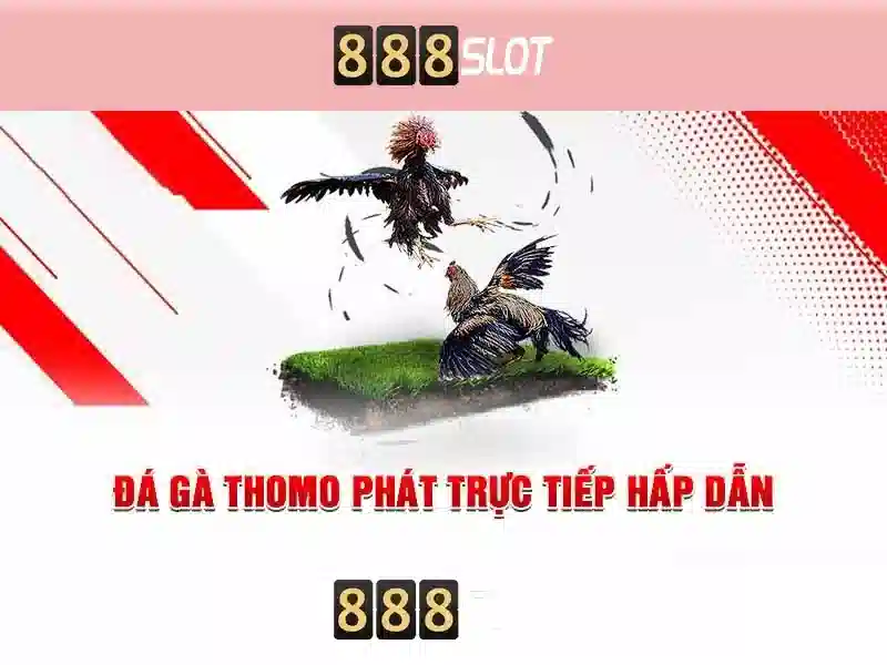 💎vi anh chinh la ca cuoc doi💎