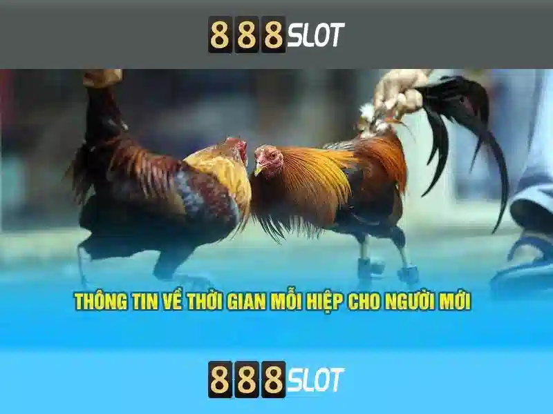 💎tỷ lệ kèo nhà cái 5 ⭐️💎