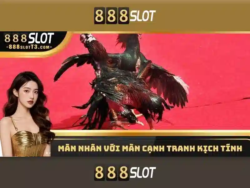 💎in tdm slots are further divided into💎