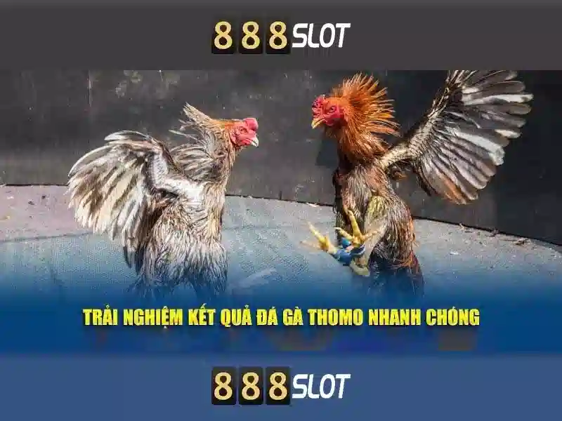 💎đánh bạc bằng hình thức ghi lô de💎