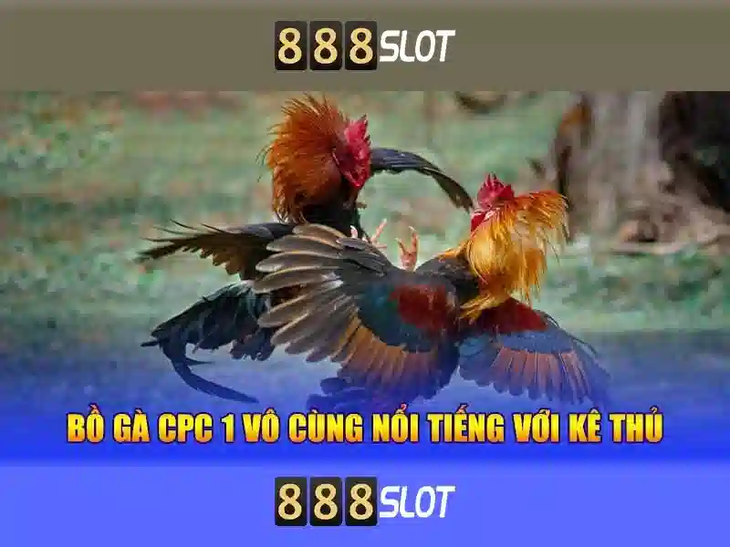 💎slots magic betting💎