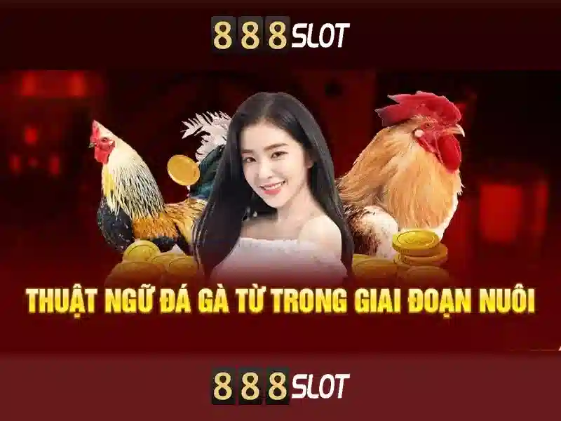 💎vụ đánh bạc ở lộc bình (lạng sơn)💎
