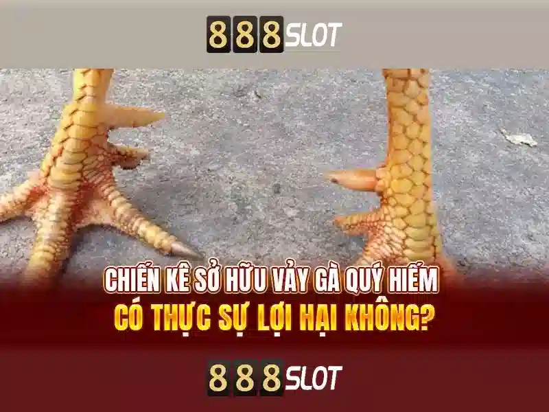 💎nhà cái mu88 ở đâu💎