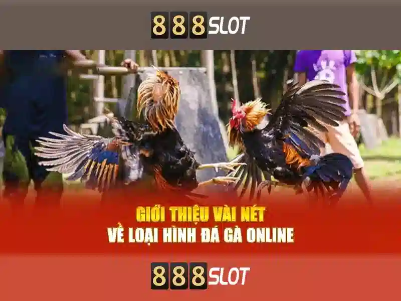 💎cá cược tình yêu tập 3💎