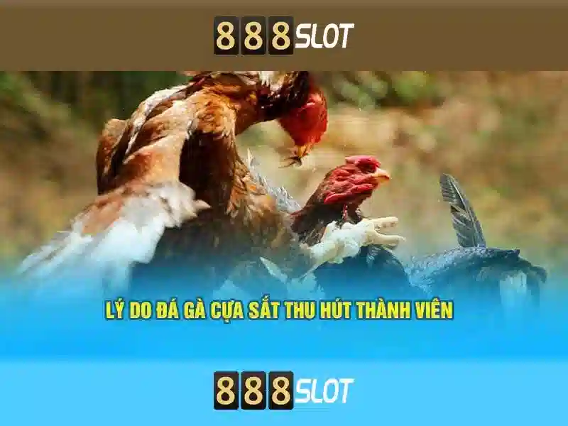 💎nha cai 79king💎