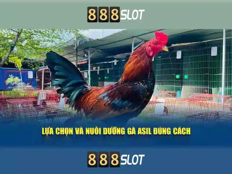 💎fb9 sòng bạc trực tuyến uy💎