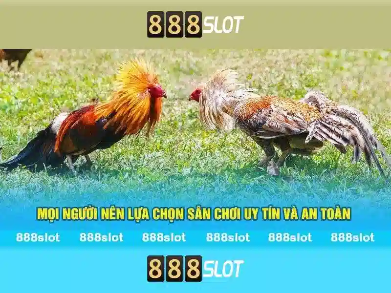 💎keo nhà cái vn💎