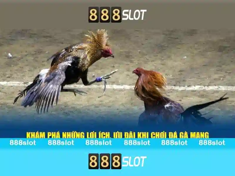 💎top malta slots sites💎
