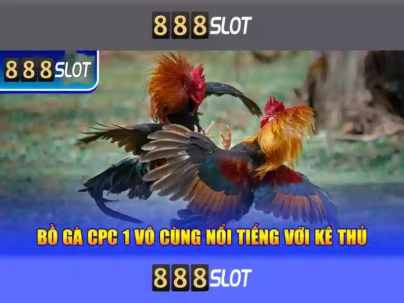 💎888 slot cigarettes💎