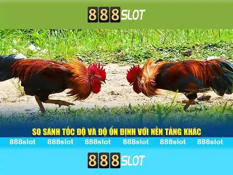 💎wslot888 slot💎