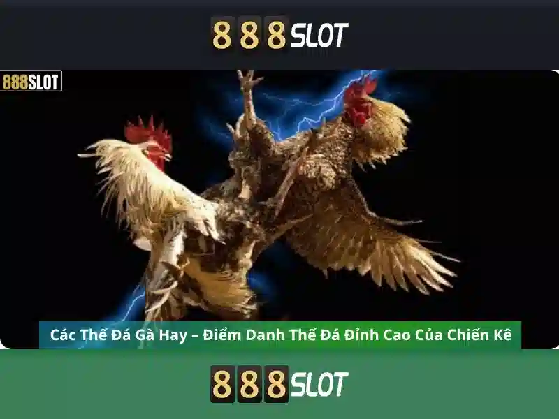 💎cách cài đặt đang ở nhà trên zenly💎
