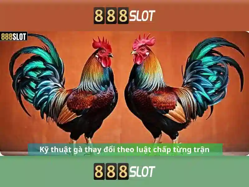 💎888slot 535💎