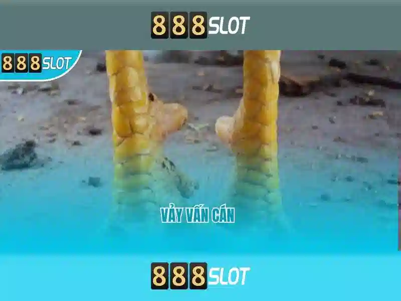 💎nhà cái uy tín clipperblog.com💎