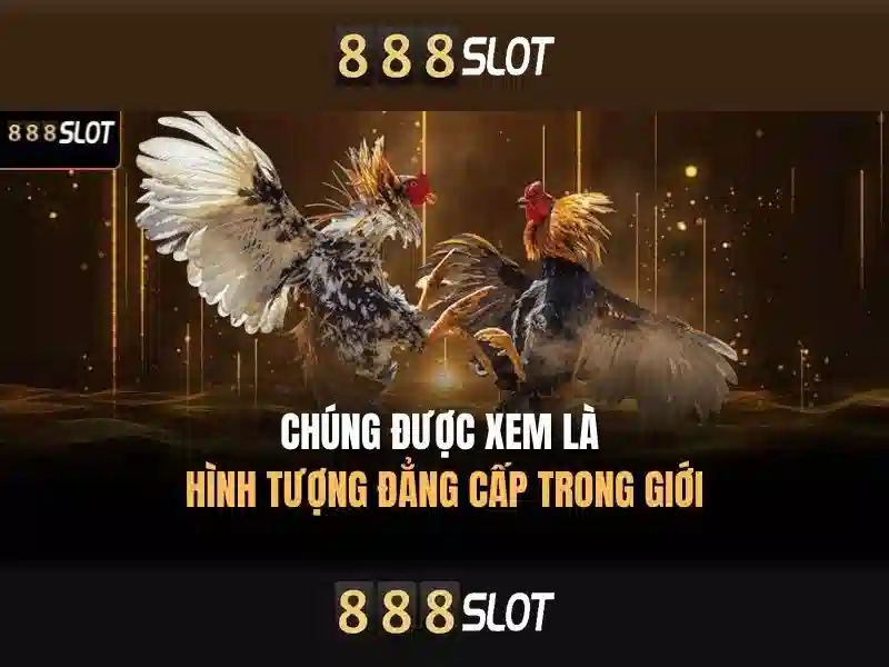 💎888slot try out free💎