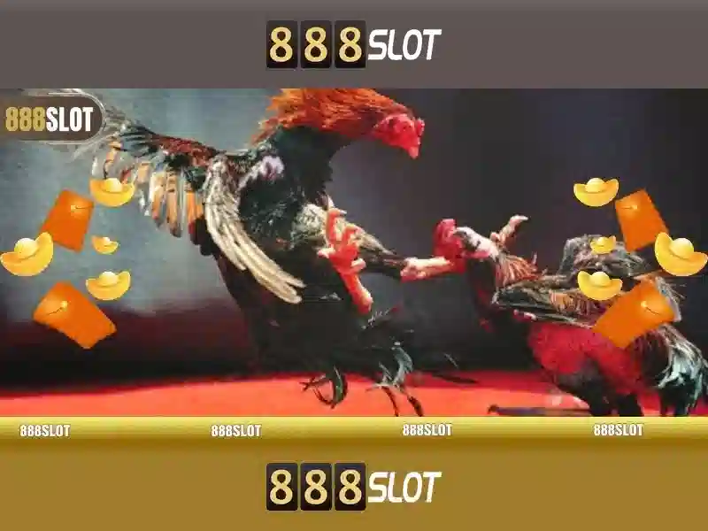 💎ten hag vs hb88 slot head to head💎