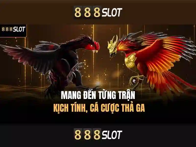 💎sòng bạc tuyệt vời mèo💎