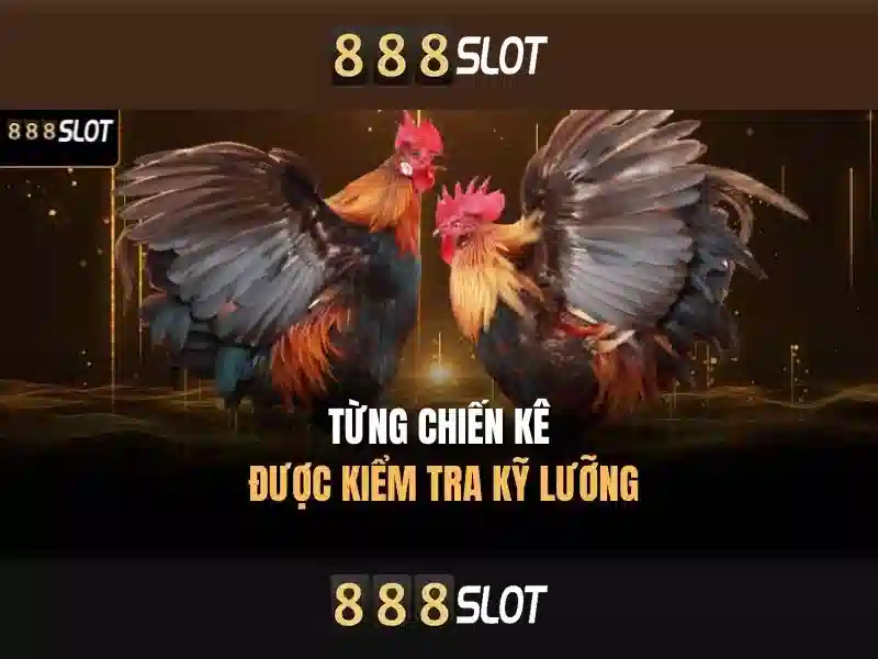 💎lấp sông bến hải bắc tiến💎