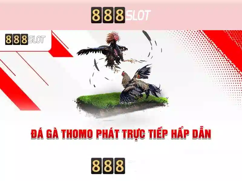 💎analyse slots palace💎