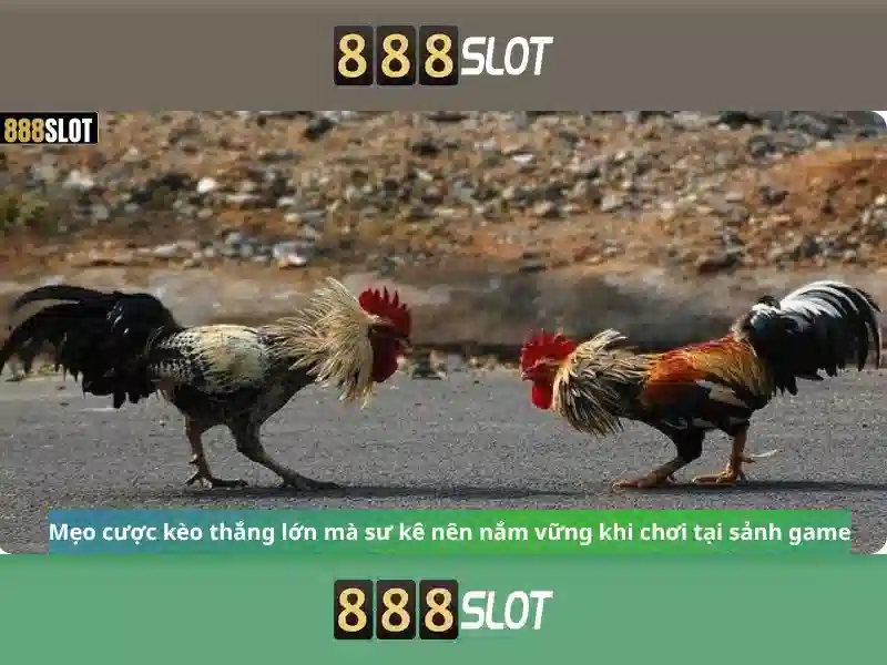 💎cả cuộc đời là một vị đắng💎