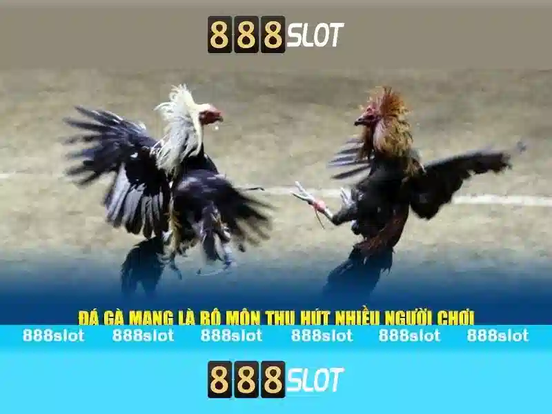 💎mơ được bạc đánh con gì💎
