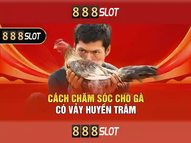 💎kèo nhà cái 5 .pro💎
