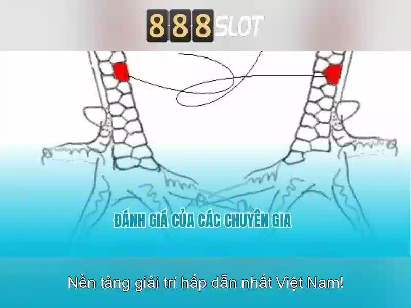 💎kèo nhà cái wiki💎