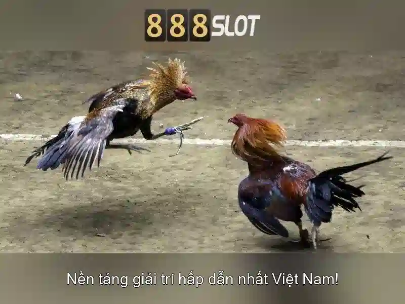 💎tỷ lệ cá cược bóng đá việt nam-indo💎