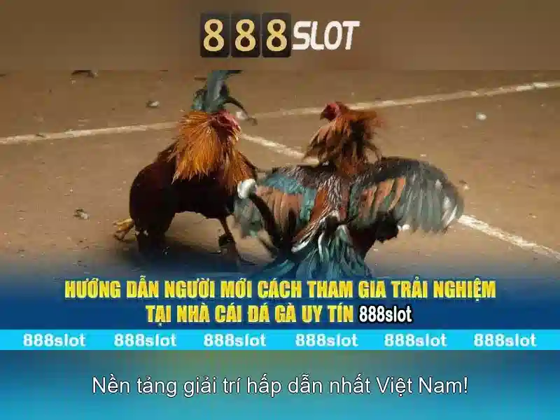 💎cầu gì không bắc qua sông đáp án💎