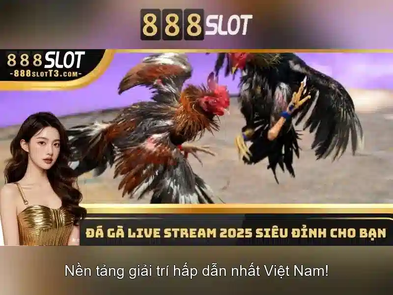 💎web ca cuoc bong da uy tin nhat viet nam💎