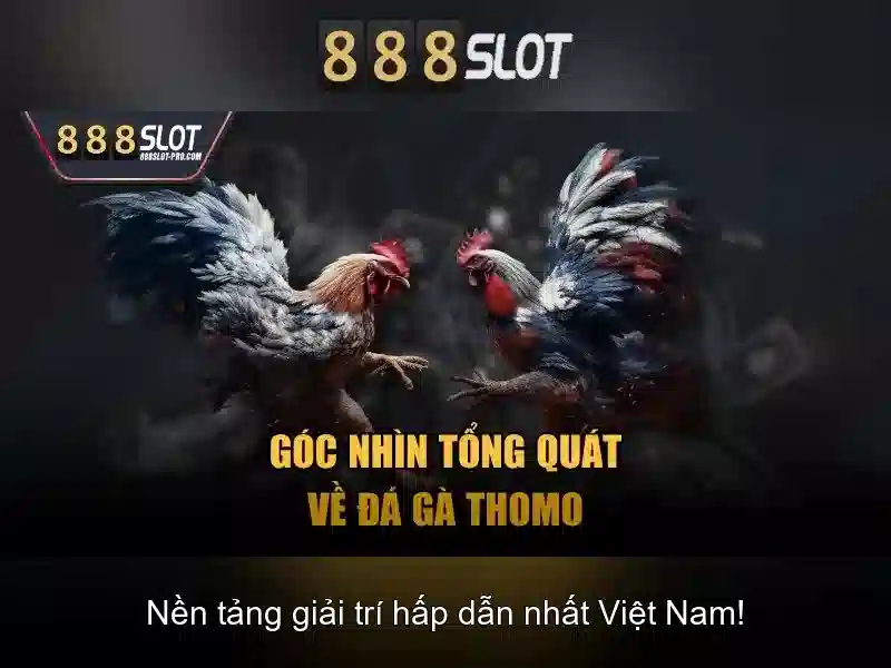 💎xem bóng đa trực tiếp kèo nhà cái💎
