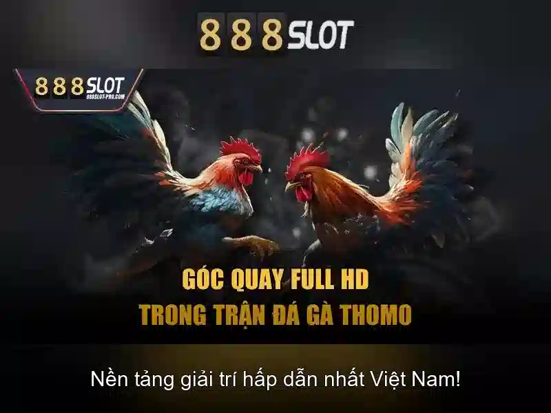 💎ttbd keo nhà cái💎