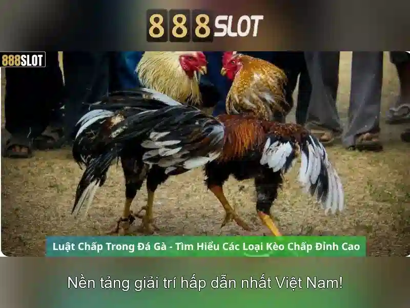 💎kèo cá cược bồ đào nha💎