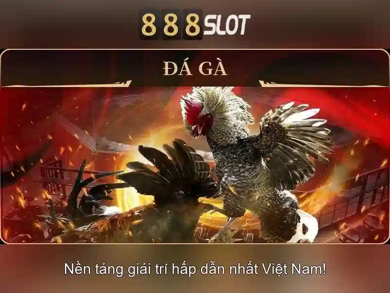 💎cài đặt win tại nhà tphcm💎
