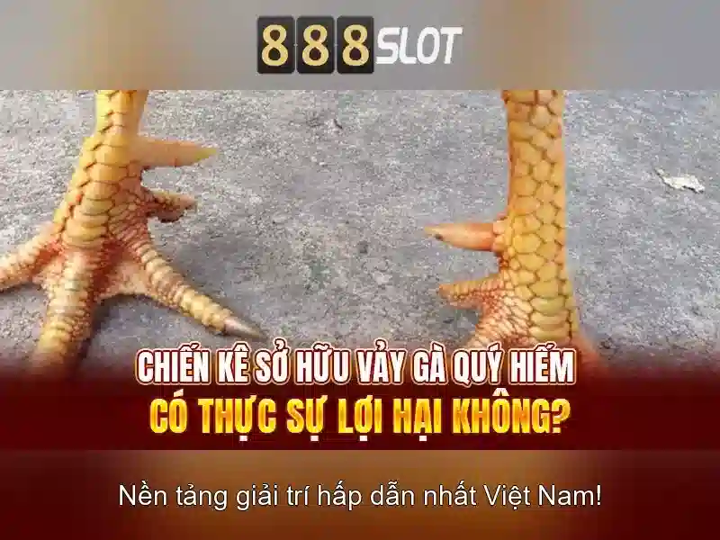 💎trang web cá cược bóng đá h-ngm-n💎