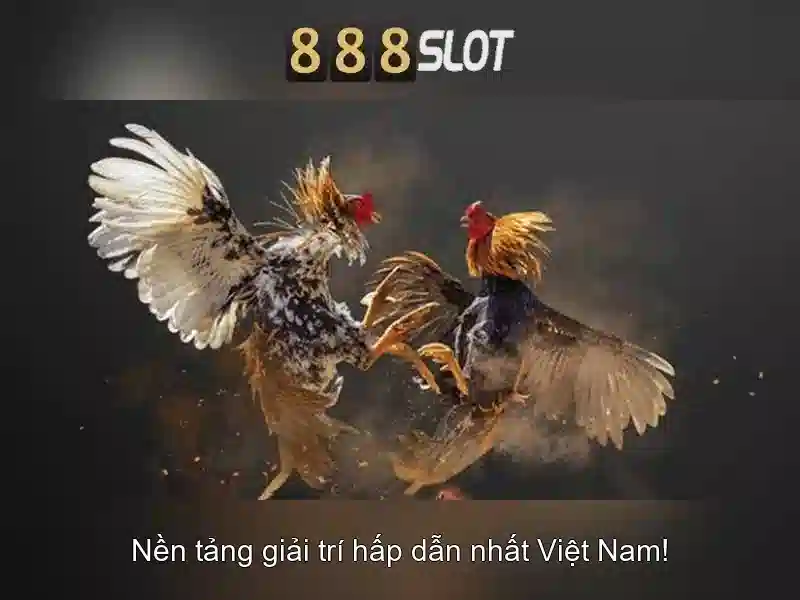 💎keo nha cai pet💎