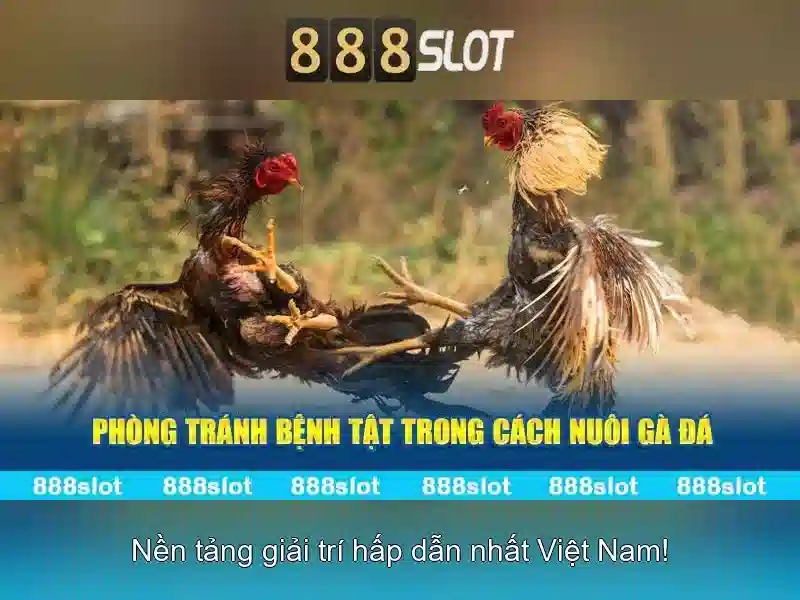 💎nhà cái lô đề số 1💎
