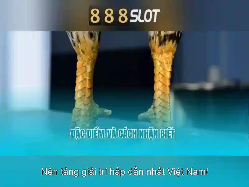 💎casino slots free online games💎