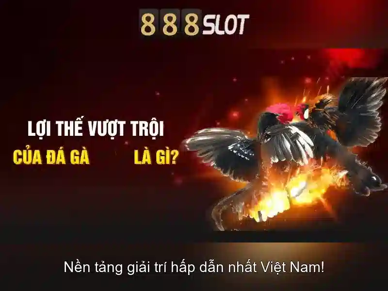 💎slot+oostende+goes+netherlands💎