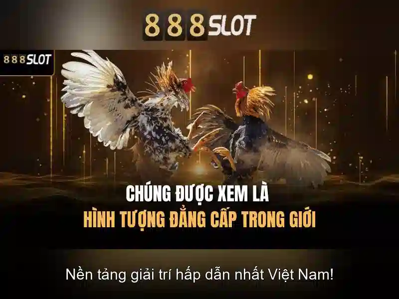 💎888 slot profile 888 slot profile 888 slot💎
