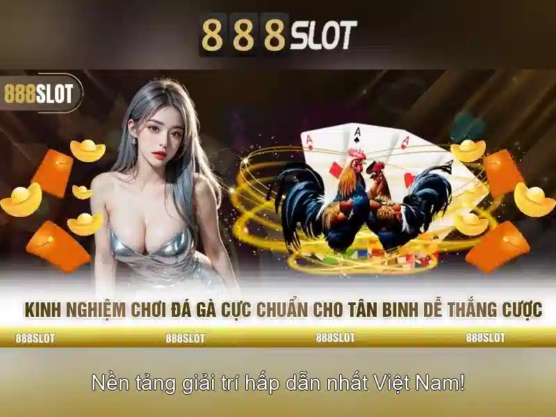 💎mèo cái bỏ nhà đi bao lâu thì về💎