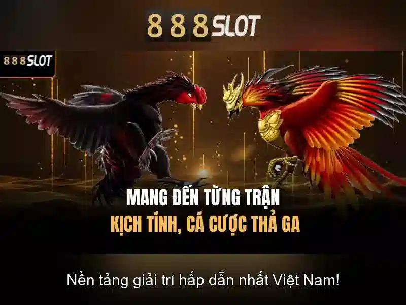 💎nhịp sống tây bắc hom nay💎