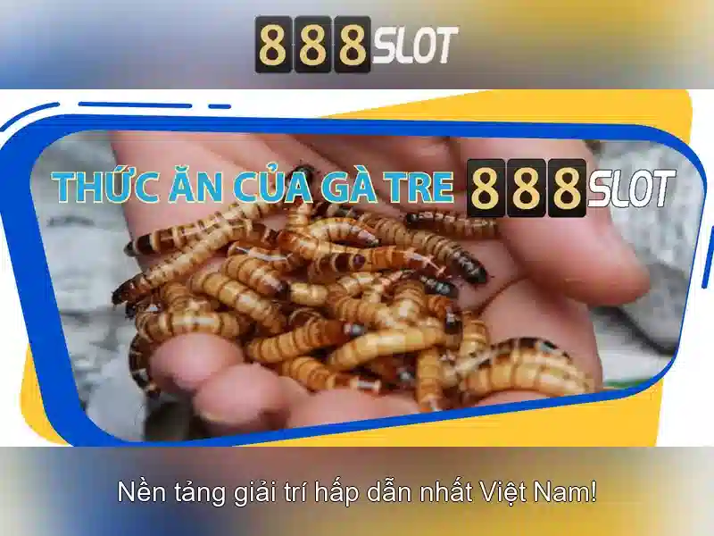 💎mức phạt hành chính tội đánh bạc💎