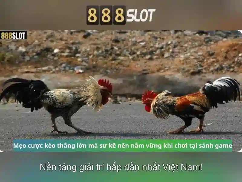 💎ca cuoc nbet💎