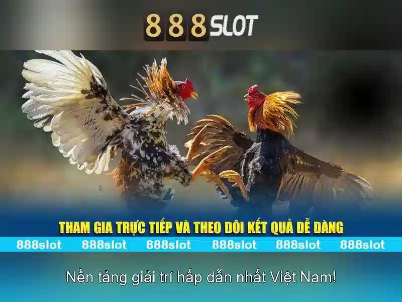 💎kèo nhà cái bóng đá plus💎