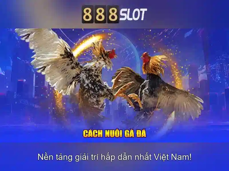💎bài đánh giá về khách sạn biển bắc💎