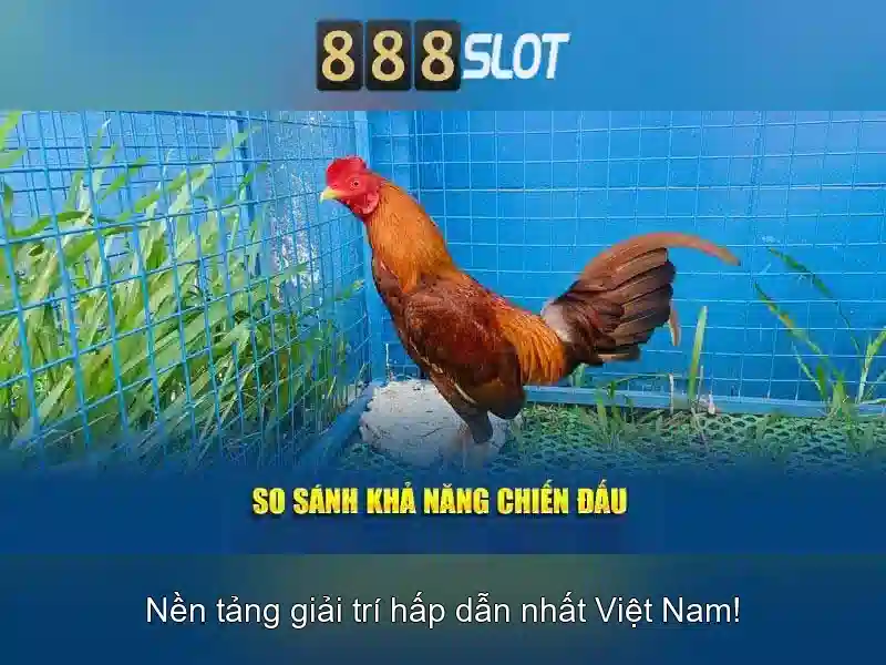 💎diep vien 007 song bac hoang gia💎